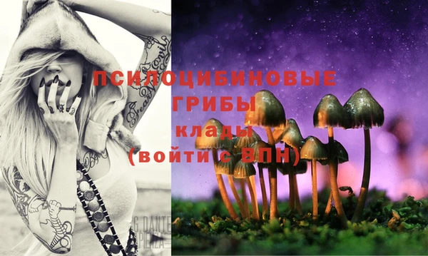 jwh Каменка