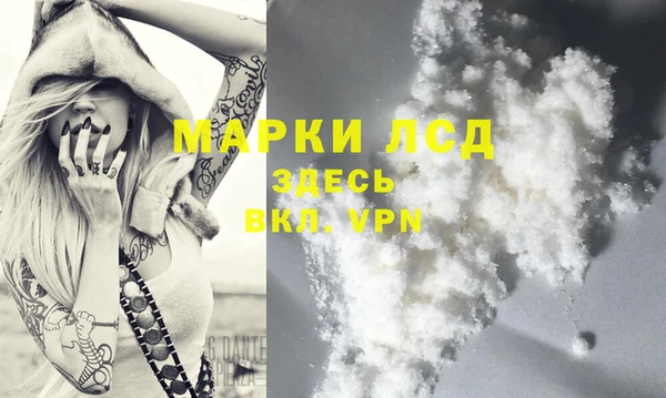 герыч Каменногорск