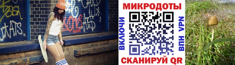 Галлюциногенные грибы Psilocybe Ростов-на-Дону